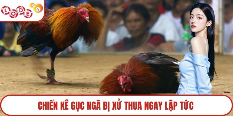 Chiến kê gục ngã bị xử thua ngay lập tức