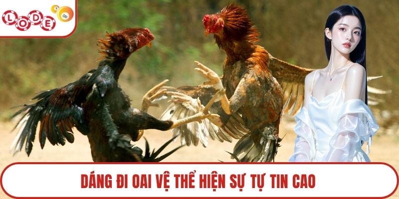 Dáng đi oai vệ thể hiện sự tự tin cao