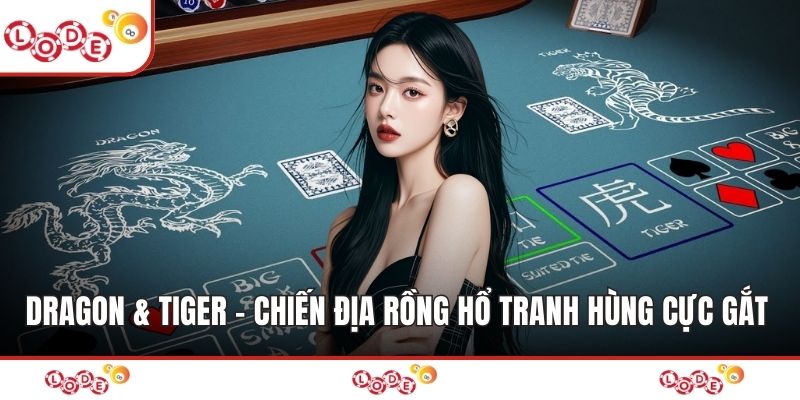 Dragon & Tiger