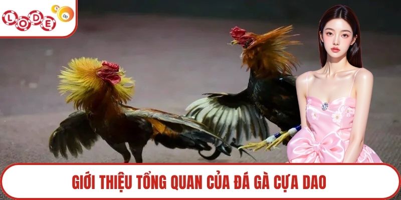 Giới thiệu tổng quan của đá gà cựa dao